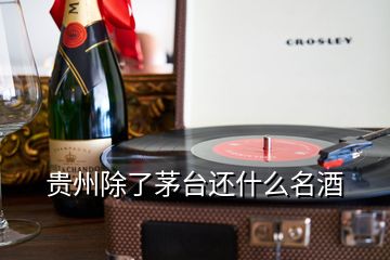 貴州除了茅臺(tái)還什么名酒