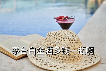 茅臺(tái)白金酒多錢(qián)一瓶啊