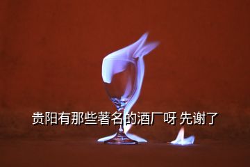 貴陽(yáng)有那些著名的酒廠呀 先謝了