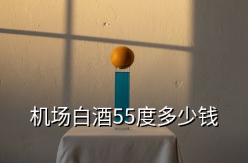 機場白酒55度多少錢