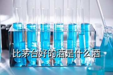 比茅臺(tái)好的酒是什么酒