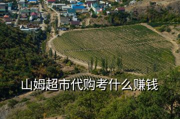 山姆超市代購(gòu)考什么賺錢