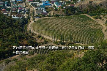 茅臺(tái)酒瓶里面的珠子只一顆還是二顆我見朋友打破二瓶茅臺(tái)每瓶都是