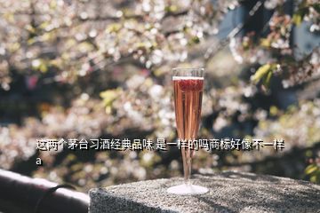 這兩個(gè)茅臺習(xí)酒經(jīng)典品味 是一樣的嗎商標(biāo)好像不一樣a