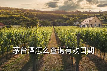 茅臺(tái)酒怎么查詢(xún)有效日期