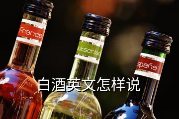 白酒英文怎樣說