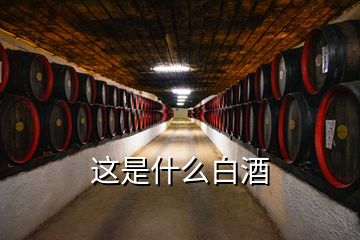 這是什么白酒