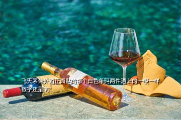 飛天茅臺(tái)外箱正面貼的那個(gè)白色條碼兩件酒上的一模一樣數(shù)字還是同