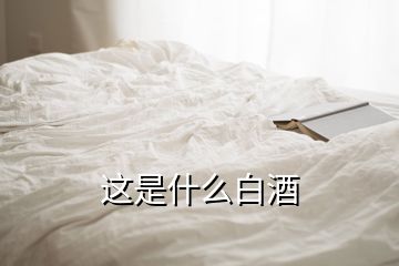 這是什么白酒