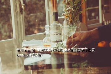 貴州茅臺酒廠集團技術(shù)開發(fā)公司出品的福滿天下52度500ML2禮盒裝的