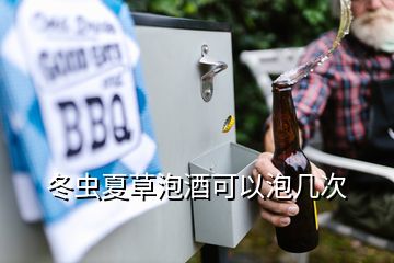 冬蟲夏草泡酒可以泡幾次