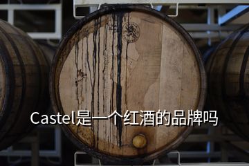 Castel是一個(gè)紅酒的品牌嗎