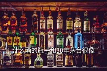 什么酒的瓶子和30年茅臺(tái)很像