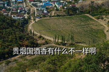 貴煙國(guó)酒香有什么不一樣啊