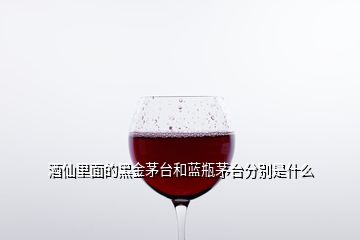 酒仙里面的黑金茅臺和藍瓶茅臺分別是什么