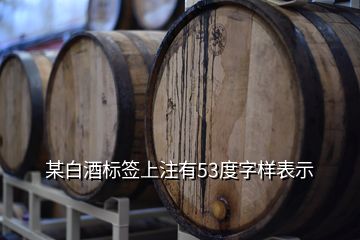 某白酒標簽上注有53度字樣表示