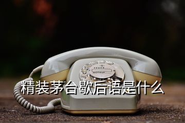 精裝茅臺歇后語是什么