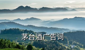 茅臺(tái)酒廣告詞