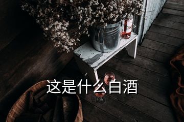 這是什么白酒