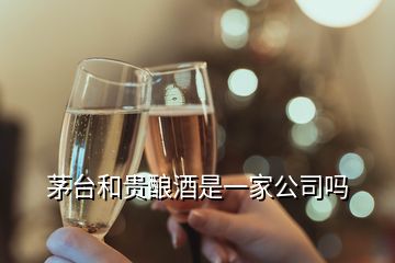 茅臺(tái)和貴釀酒是一家公司嗎