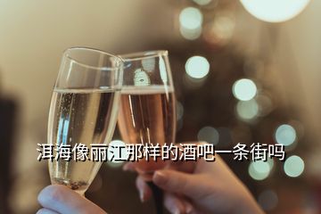 洱海像麗江那樣的酒吧一條街嗎