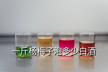 一斤楊梅子泡多少白酒