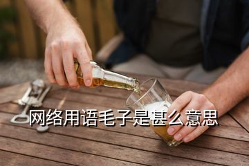 網(wǎng)絡用語毛子是甚么意思