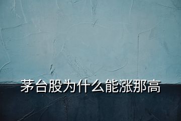 茅臺股為什么能漲那高