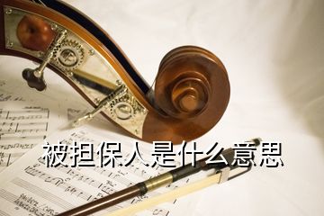 被擔(dān)保人是什么意思