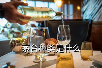 茅臺(tái)種類是什么