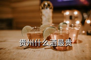 貴州什么酒最貴