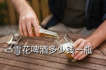 雪花啤酒多少錢一瓶