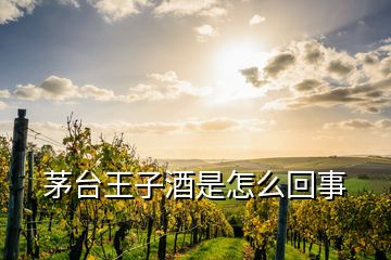 茅臺(tái)王子酒是怎么回事