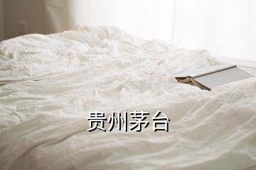 貴州茅臺(tái)