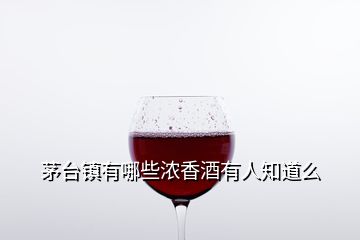 茅臺鎮(zhèn)有哪些濃香酒有人知道么