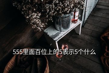 555里面百位上的5表示5個(gè)什么