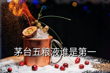 茅臺(tái)五糧液誰是第一