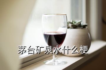 茅臺礦泉水什么梗