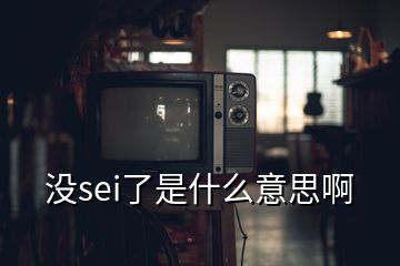 沒(méi)sei了是什么意思啊