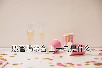 吸管喝茅臺 上一句是什么