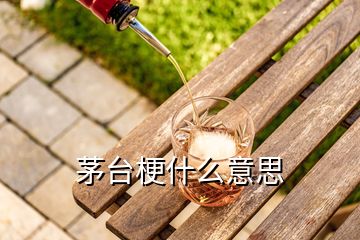 茅臺(tái)梗什么意思