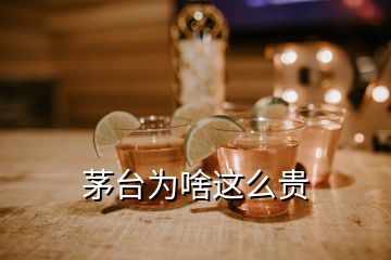 茅臺為啥這么貴