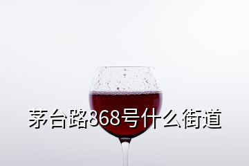 茅臺(tái)路868號(hào)什么街道