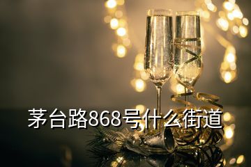 茅臺(tái)路868號(hào)什么街道