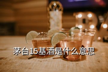 茅臺(tái)15基酒是什么意思