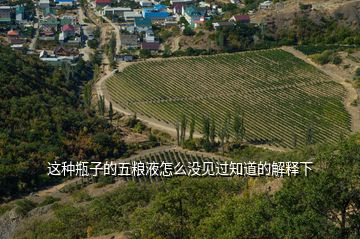 這種瓶子的五糧液怎么沒見過知道的解釋下