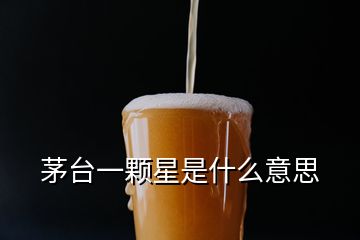 茅臺一顆星是什么意思