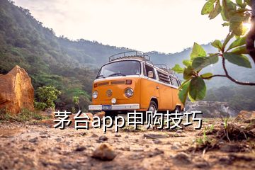 茅臺app申購技巧