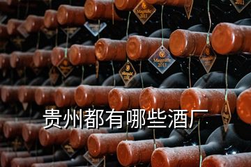 貴州都有哪些酒廠