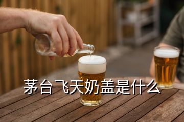 茅臺飛天奶蓋是什么